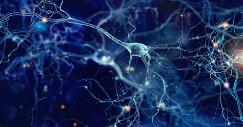 Qu’est-ce qu’un réseau neuronal artificiel ? - IONOS