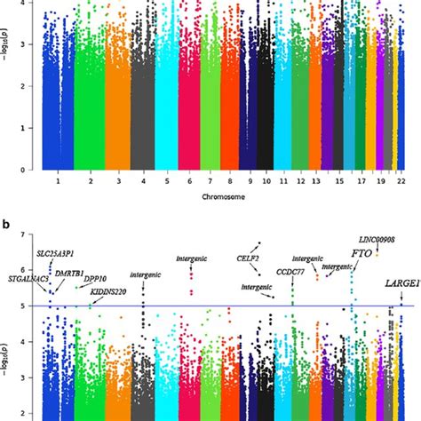 Manhattan Plots Of Genome Wide Association Analyses A Manhattan Download Scientific Diagram