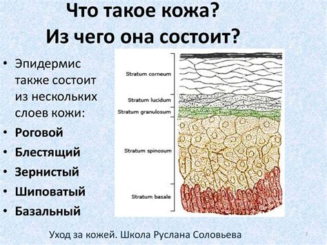 Уход за кожей лица - презентация онлайн