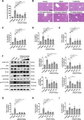 Frontiers Establishment And Application Of A High Throughput