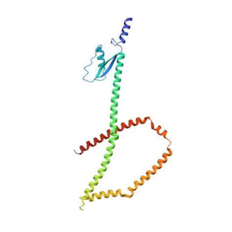 Rcsb Pdb 5cws Crystal Structure Of The Intact Chaetomium