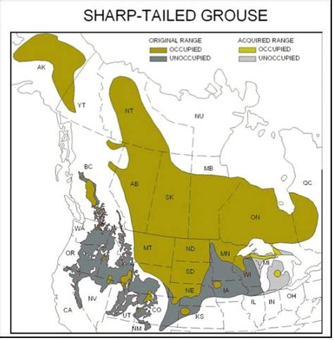 Prairie Grouse — The North American Grouse Partnership