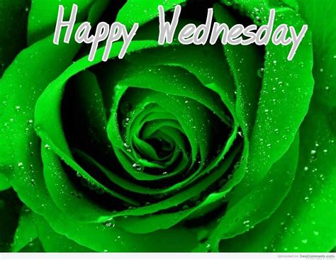 Wishies For Wednesday Wishes Greetings Pictures Wish Guy