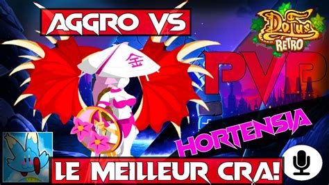 Aggro Vs Le Meilleur Cra Dofus Retro Pvp Youtube