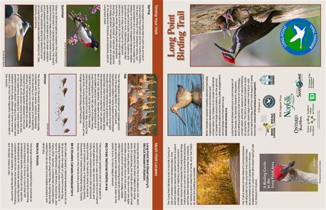 Birds Canada - Birding-Trail-brochure-2021 - Page 1