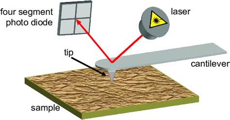 15: Experimental core of an AFM: The cantilever with tip is deflected... | Download Scientific ...