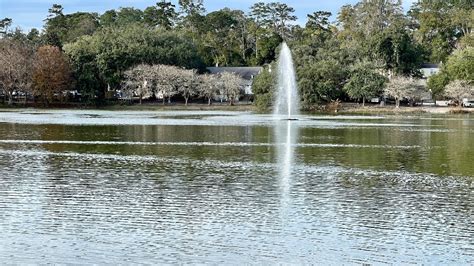 Lake Ella in Tallahassee