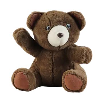 Cute Dark Brown Teddy Bear Isolated On White Background Teddy Bear