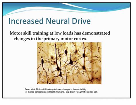 Acute Response And Adaptation To Resistance Exercise Week 6