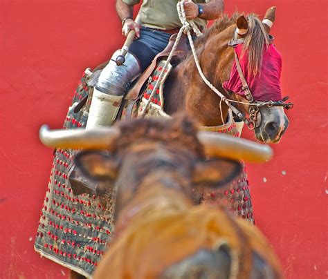 Del Toro Al Infinito El Caballo Pierde Su Sitio Por Carlos Bueno