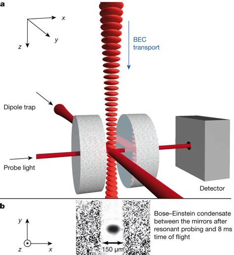 Experimental Situation A 36 Mm Above The Cavity 3 5 106 Ultracold