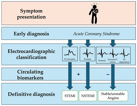 deciphering acute coronary syndromes pathobiology  proteomics