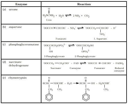 Enzyme15