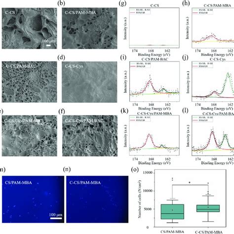 sem images    hydrogel samples   xps high