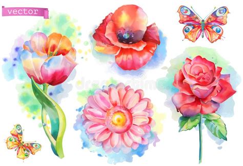 Flores De La Primavera Fijadas Vector De La Acuarela Ilustraci N Del