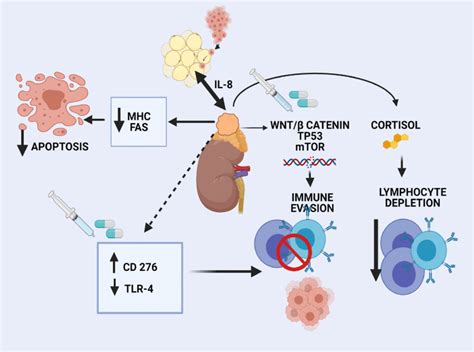 Immune Microenvironment In Adrenocortical Carcinoma Download Scientific Diagram