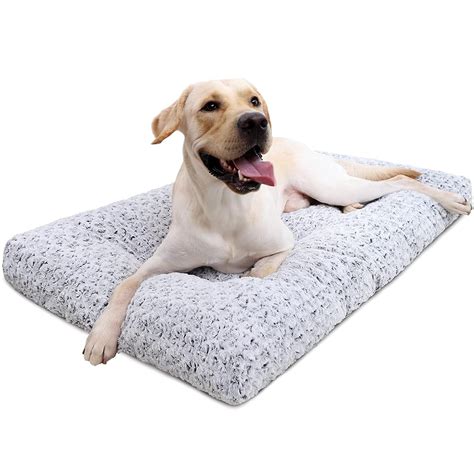 9 Best Washable Dog Beds