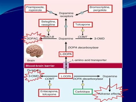 Antiparkinsonian Drugs Full Lecture PPT