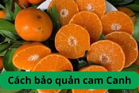 Cam Canh Là Cam Gì Phân Biệt Cam Canh Trung Quốc Và Việt Nam Foodmap