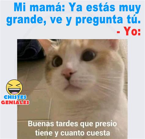 Mi mamá Ya estás muy grande ve y pregunta tú Chistes geniales