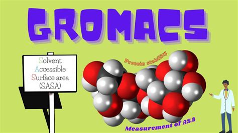 A Quick Analysis Of Sasa With Gromacs Commands And A Brief