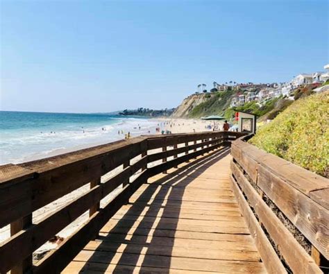 Whale Watching from Shore in Dana Point: What You Need to Know