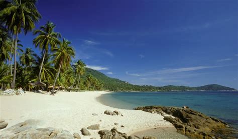 Guia Gay Da Ilha De Koh Samui Para Viajantes Gays Travel Gay