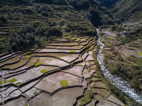 Baguio Rice Terraces Of The Philippine Cordilleras Stock Photo Adobe