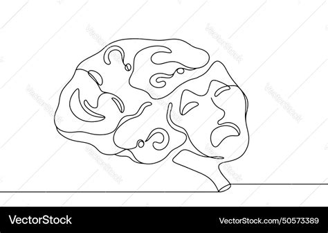 Bipolar disorder brain psyche Royalty Free Vector Image