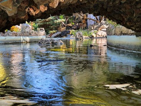 Vega Baja Del Segura Albatera Parque De La Huerta Foto Premium