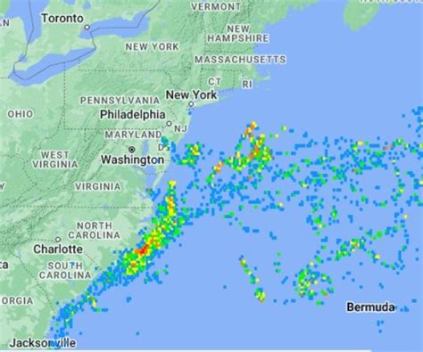 Sea Turtles And Pollution and Its Impact in 2025 - All Turtles