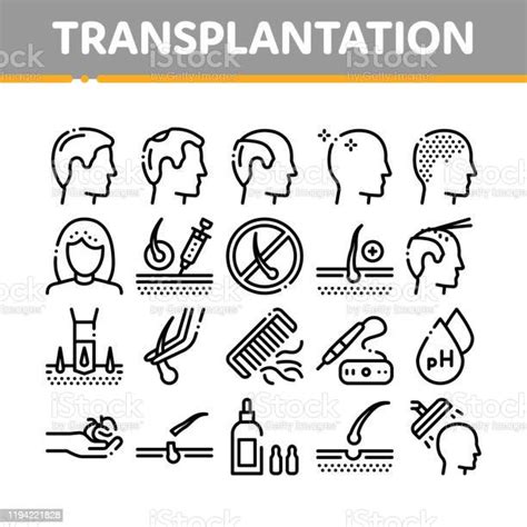 모발 이식 컬렉션 아이콘 세트 벡터 임플란트에 대한 스톡 벡터 아트 및 기타 이미지 임플란트 털 개념 Istock