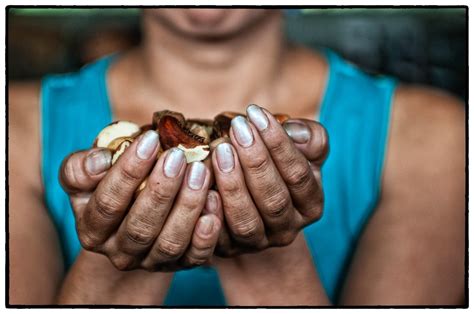 Dive Into The Remarkable Health Benefits Of Brazil Nuts