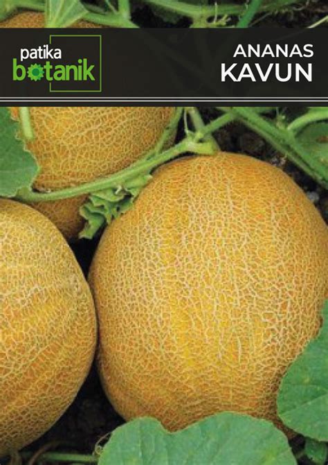 Sebze Tohumları — Patika Botanik Tohumlar Sebze Tohumları Çiçek Tohumları Bitkiler Çiçek