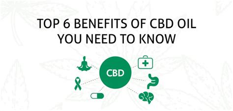 Top 6 Benefits Of Cbd Oil You Need To Know