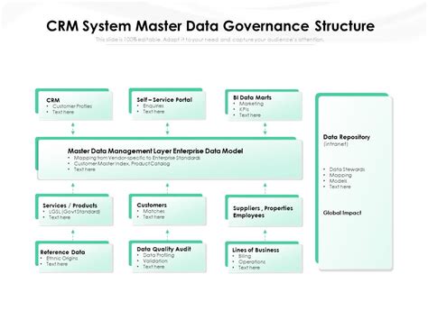 Crm System Master Data Governance Structure Ppt Powerpoint Presentation