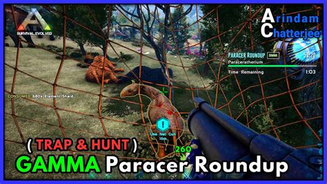 Ark Genesis Solo Gamma Paracer Roundup With No Tames Fastest Way