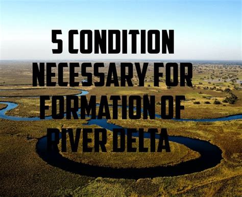 Conditions necessary for formation of river delta : r/geographyknowledge