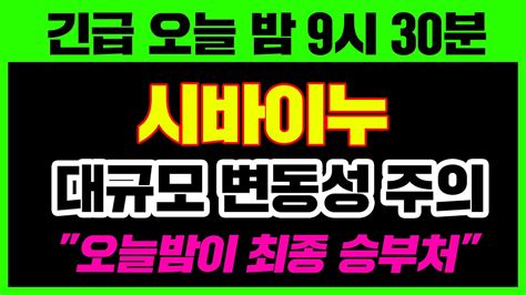 긴급 오늘 밤 9시 30분 시바이누 대규모 변동성 주의 오늘밤이 최종 승부처 시바이누 시바이누전망 시바이누코인