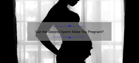 Can The Second Sperm Make You Pregnant Sperm Blog