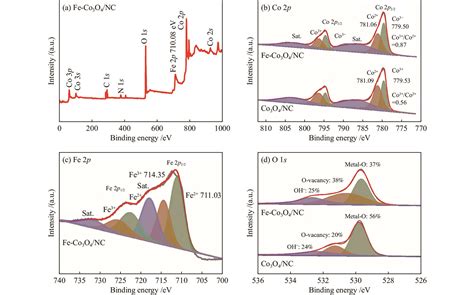 Fe Doped Co 3 O 4 Anchored On Hollow Carbon Nanocages For Efficient