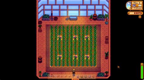 How To Plant Trees In Greenhouse Stardew