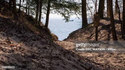 Saugatuck Dunes State Park Photos and Premium High Res Pictures - Getty Images