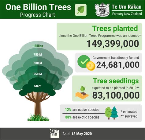 How We Ll Plant One Billion Trees Forestry Nz Nz Government