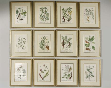 15 Best Collection of Framed Botanical Art Prints