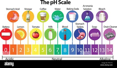ph scale  res stock photography  images alamy