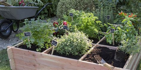 Potager carré tous nos conseils pour le réussir Marie Claire