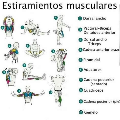 Os Aconsejo Estos Estiramientos Depuesto De Vuestra Tabla De Ejercicios