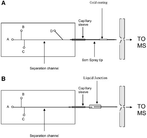 A Schematic Diagram Of A Microchip Capillary Electrophoresis Mass Download Scientific Diagram