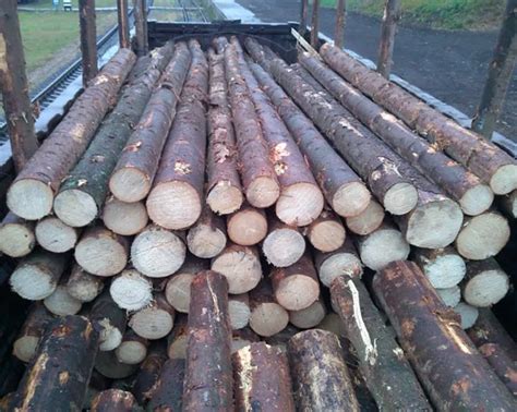 Africa Tali Wood Logs Big Plank Wood Lumber Sawn Timber For Sale